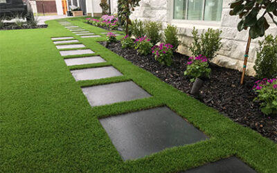 planting-and-removal2